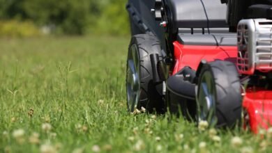 common lawn mowing errors