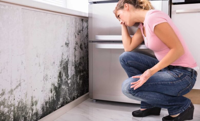 how to check for mold after water damage