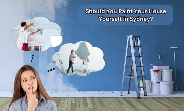 paint your house yourself