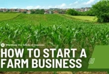 how to start a farm business