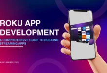 Roku App Development