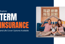 Secure your family's future with affordable term insurance.