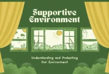 Illustration of a supportive environment with a window overlooking a sunny landscape, promoting understanding and protection of our environment.