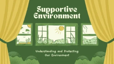 Illustration of a supportive environment with a window overlooking a sunny landscape, promoting understanding and protection of our environment.