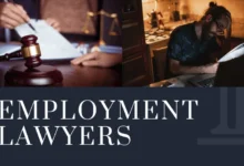 employment lawyers