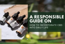 how to incorporate CBD into daily life